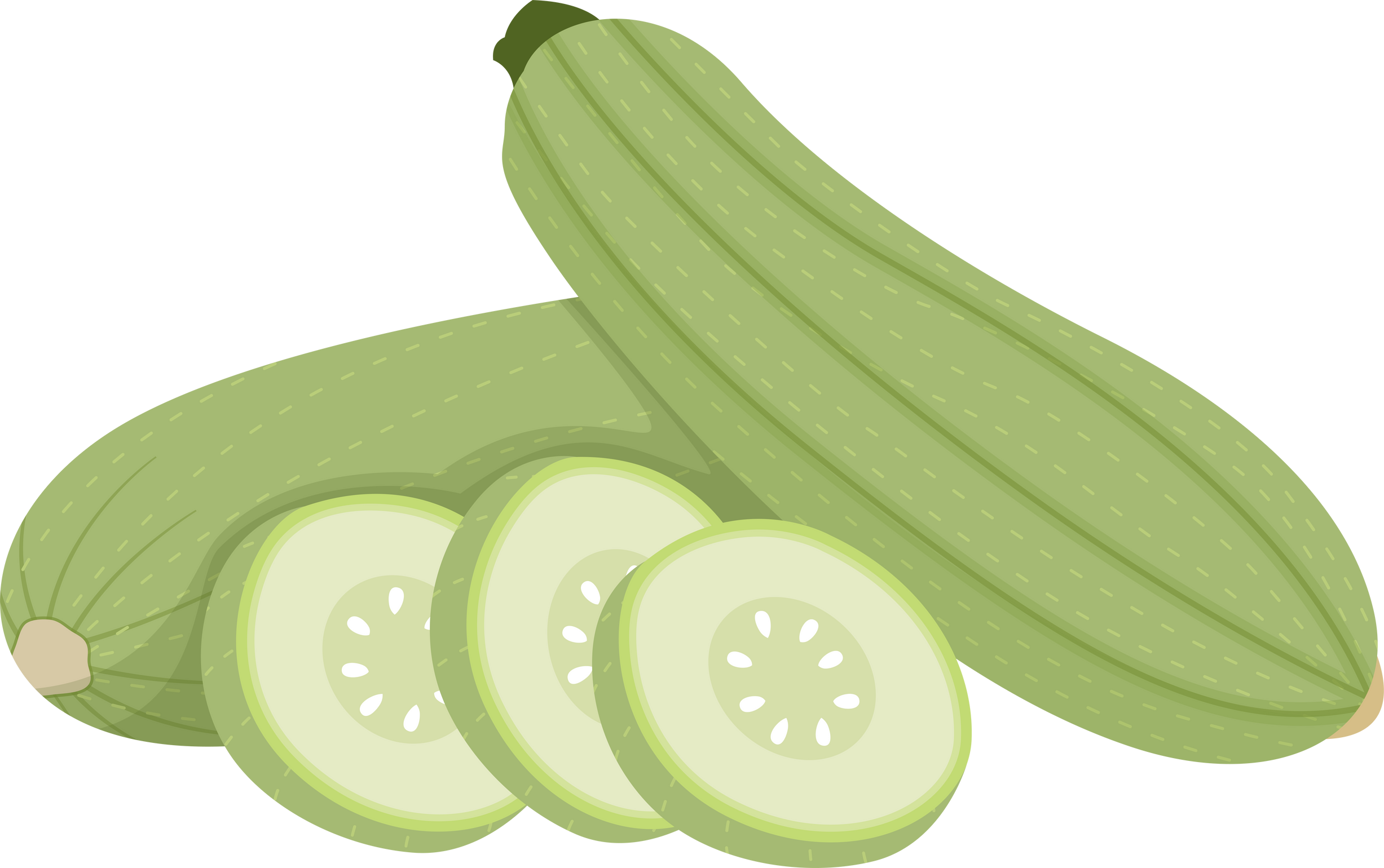 Zucchini with Slices