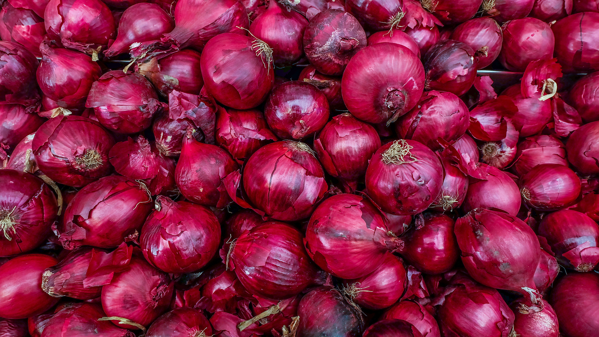 Fresh onions. Onions red background. Ripe onions red. Onions red in market.