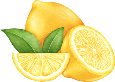 Watercolor Lemons Illustration