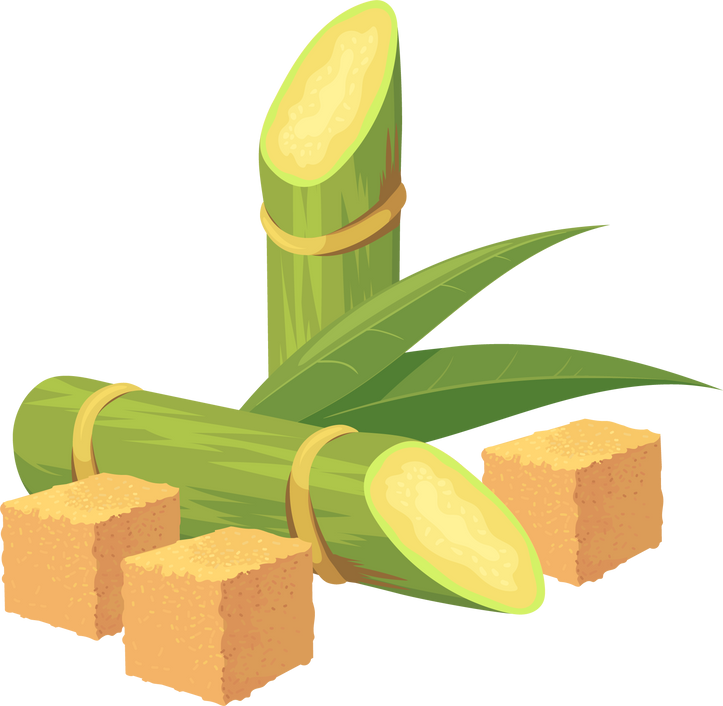 Cartoon cane sugar. Cubes of brown sugar and sugarcane raw p